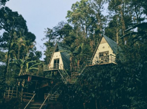 Coorgology - The estate stay